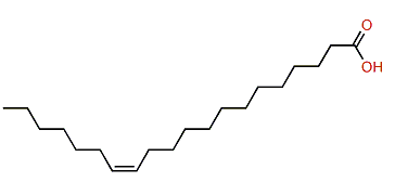 (Z)-13-Eicosenoic acid